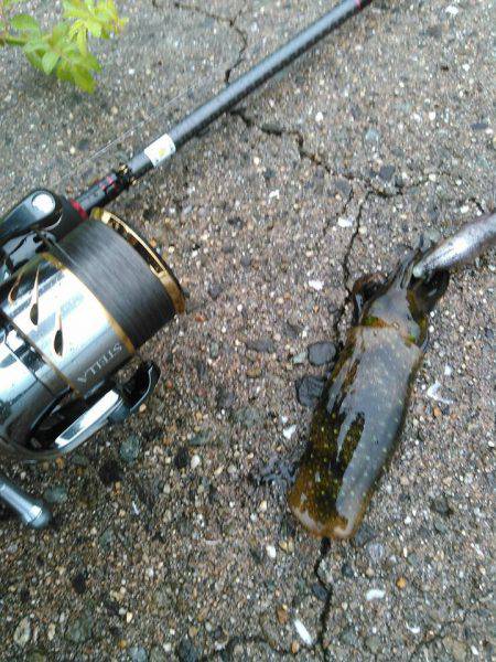 おはようございます！❤